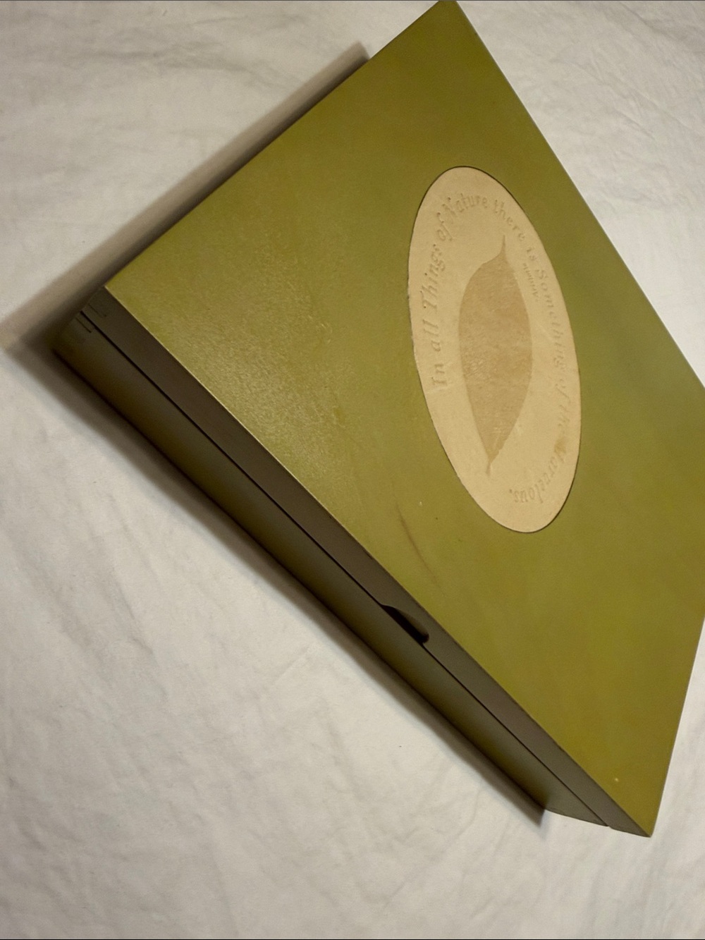 Barnes & Noble Olive Green Decorative Storage Box